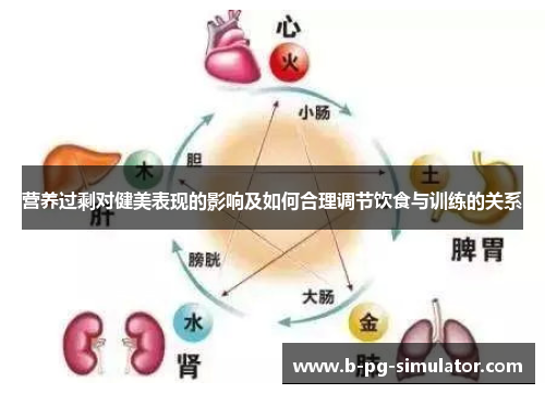 营养过剩对健美表现的影响及如何合理调节饮食与训练的关系 营养过剩对健美表现的影响及如何合理调节饮食与训练的关系